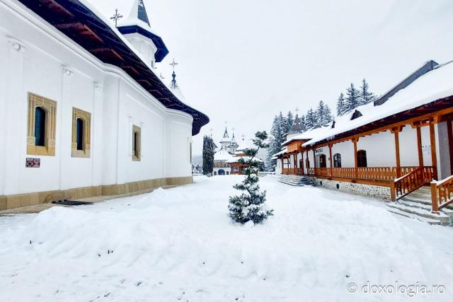 Tăcerea zăpezii la Sihăstria – frumusețea unei zile de februarie