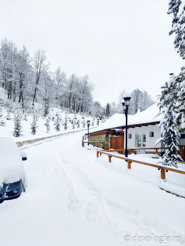 Tăcerea zăpezii la Sihăstria – frumusețea unei zile de februarie