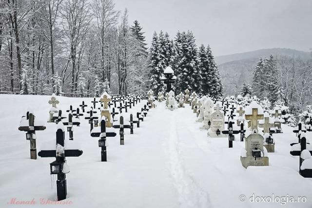 Tăcerea zăpezii la Sihăstria – frumusețea unei zile de februarie