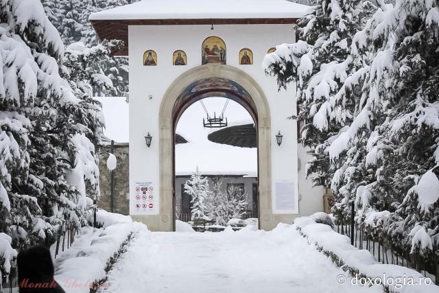 Tăcerea zăpezii la Sihăstria – frumusețea unei zile de februarie