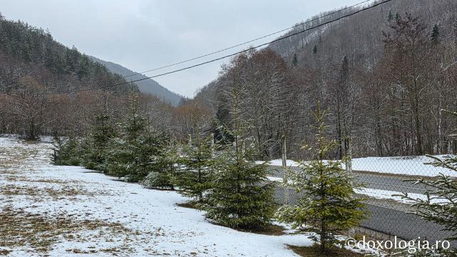 Mănăstirea Băișoara