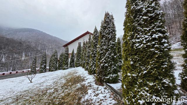 Mănăstirea Băișoara