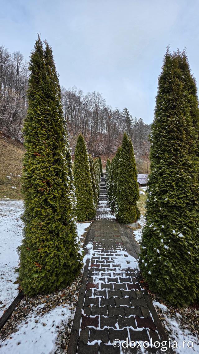 Mănăstirea Băișoara