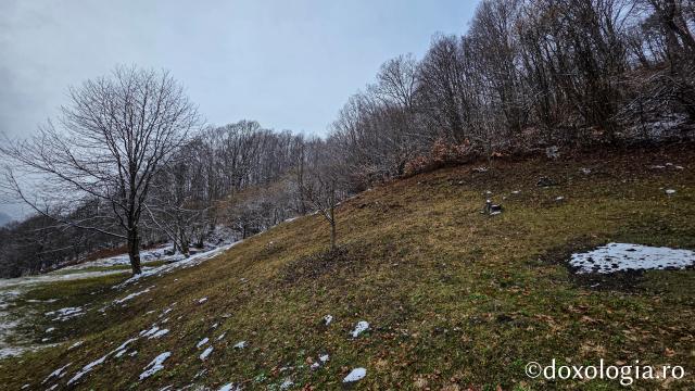 Mănăstirea Băișoara