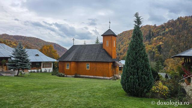 Mănăstirea Lepșa, biserica din lemn, monument istoric