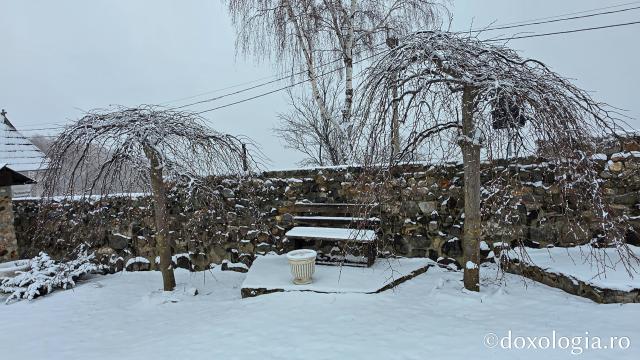 Mănăstirea Muntele Rece