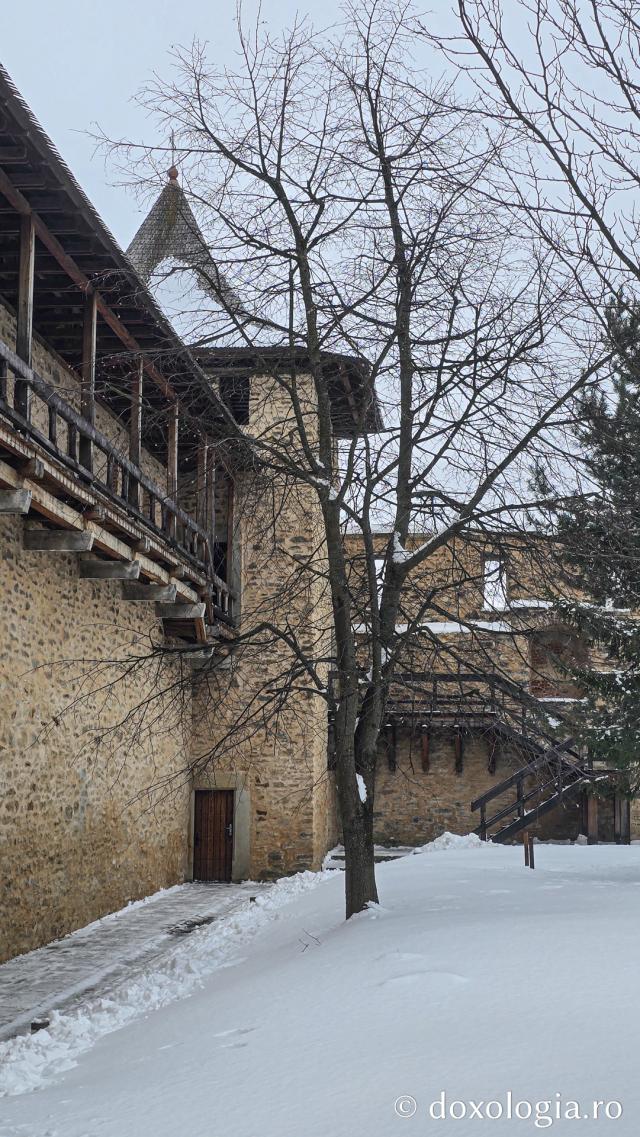 Mănăstirea Probota – moștenire voievodală și vatră monahală