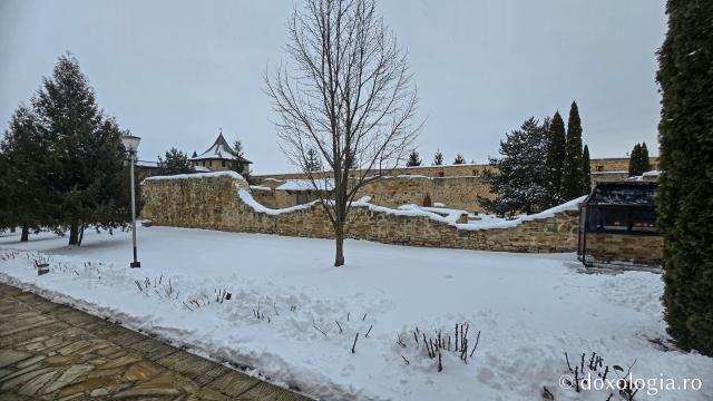 Mănăstirea Probota – moștenire voievodală și vatră monahală