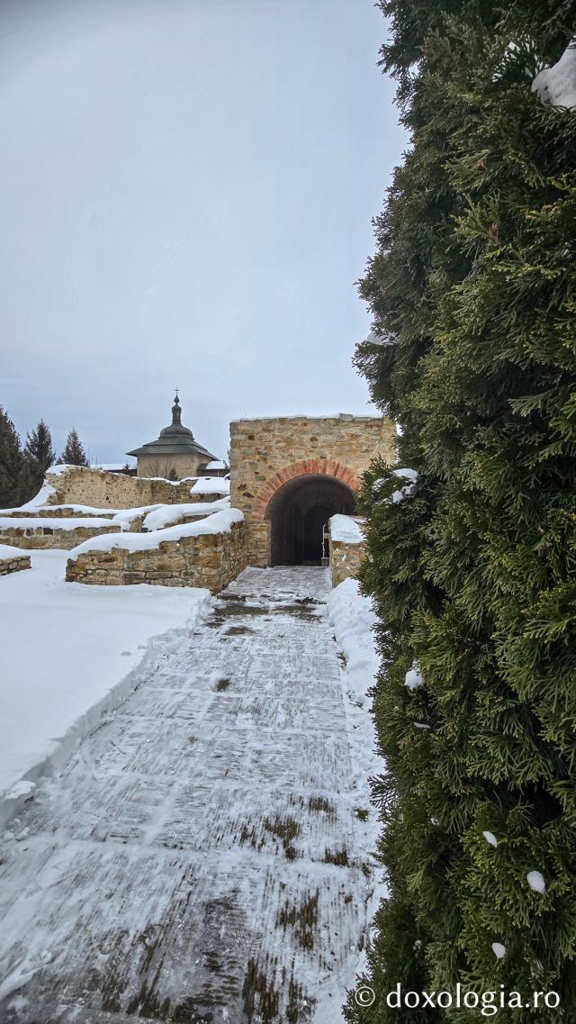 Mănăstirea Probota – moștenire voievodală și vatră monahală