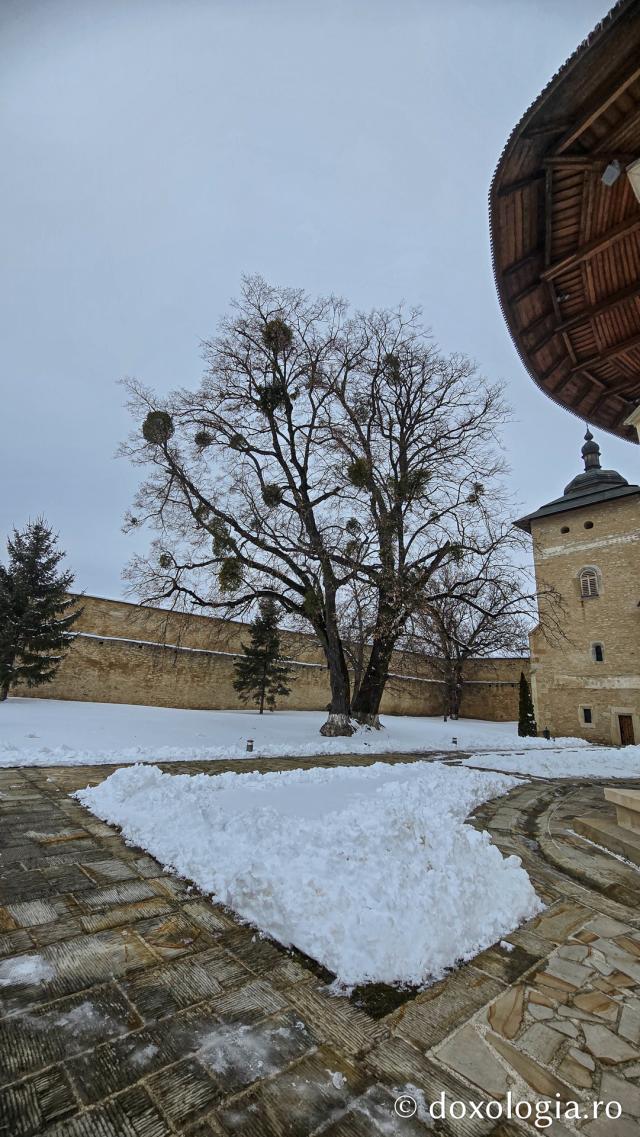 Mănăstirea Probota – moștenire voievodală și vatră monahală