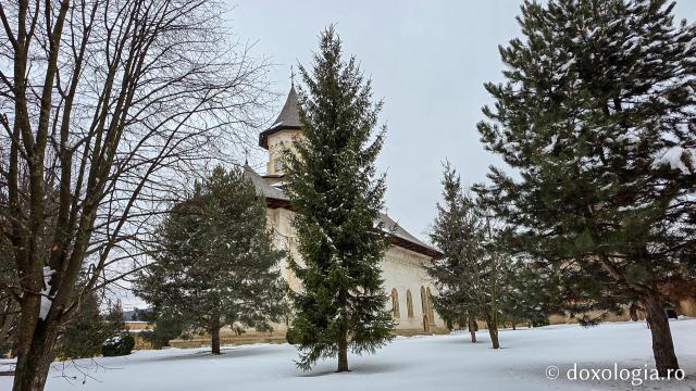 Mănăstirea Probota – moștenire voievodală și vatră monahală