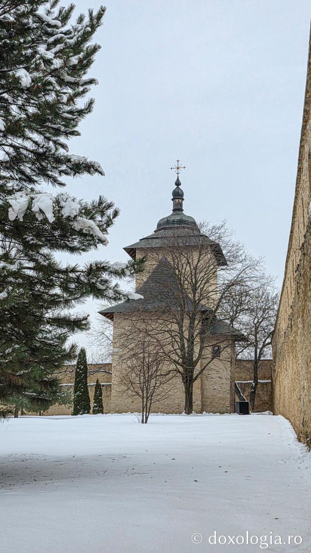 Mănăstirea Probota – moștenire voievodală și vatră monahală