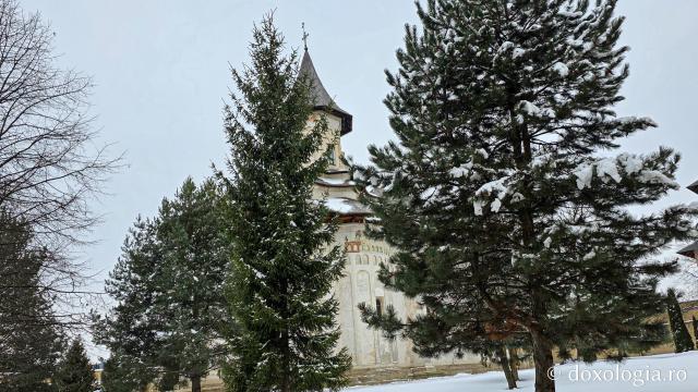 Mănăstirea Probota – moștenire voievodală și vatră monahală