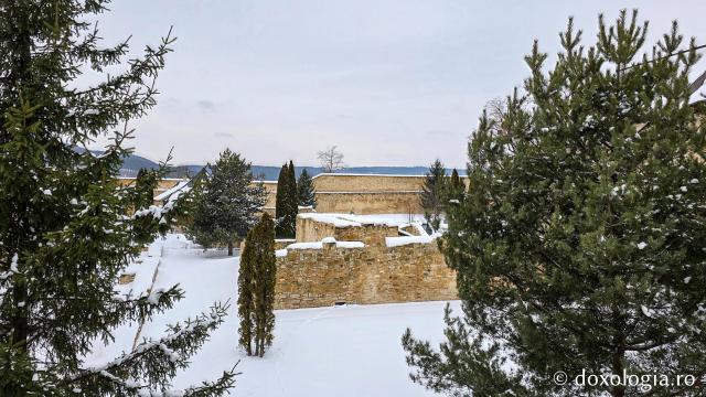 Mănăstirea Probota – moștenire voievodală și vatră monahală