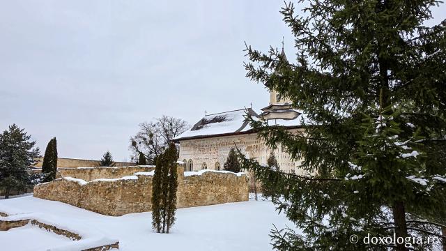 Mănăstirea Probota – moștenire voievodală și vatră monahală