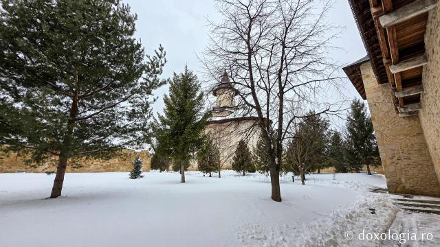 Mănăstirea Probota – moștenire voievodală și vatră monahală