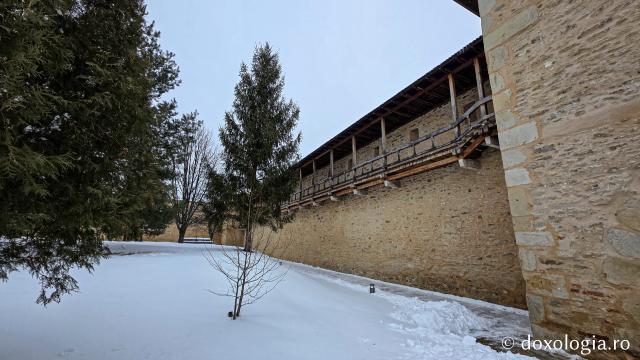 Mănăstirea Probota – moștenire voievodală și vatră monahală