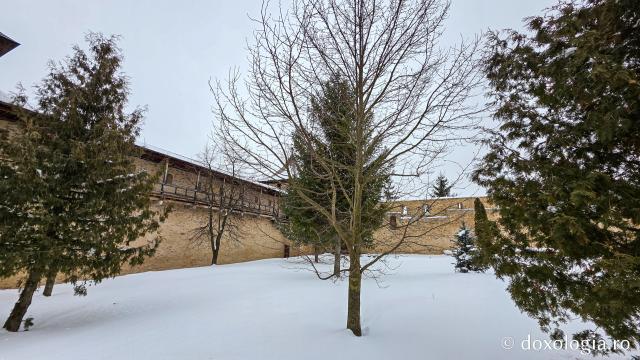 Mănăstirea Probota – moștenire voievodală și vatră monahală