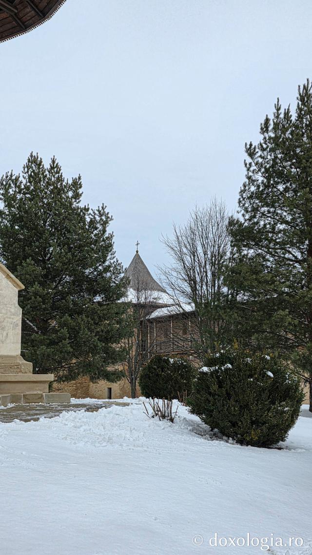 Mănăstirea Probota – moștenire voievodală și vatră monahală