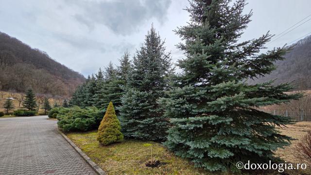 Mănăstirea „Sfinții Arhangheli Mihail, Gavriil și Rafail” Rimetea – Alba