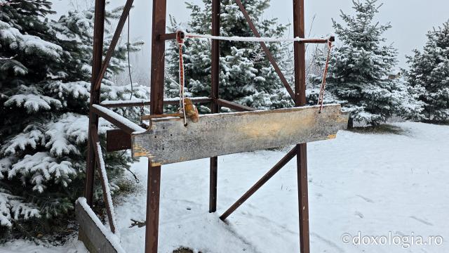 Mănăstirea Sfântul Ierarh Vasile cel Mare, Someșul Cald