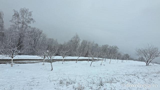 Mănăstirea Sfântul Ierarh Vasile cel Mare, Someșul Cald
