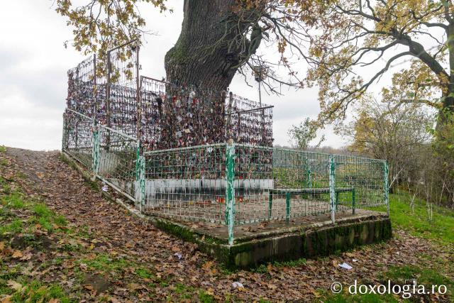 Mănăstirea Pasărea