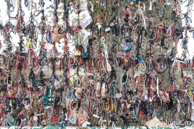 Mănăstirea Pasărea