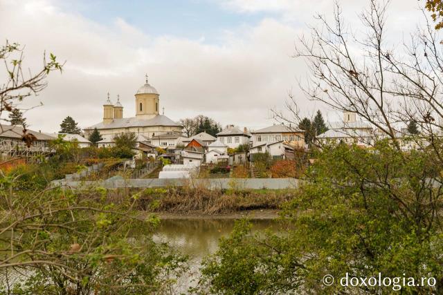 Mănăstirea Pasărea