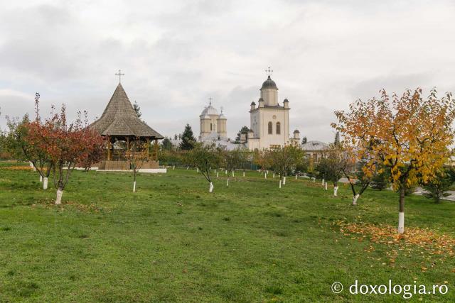 Mănăstirea Pasărea