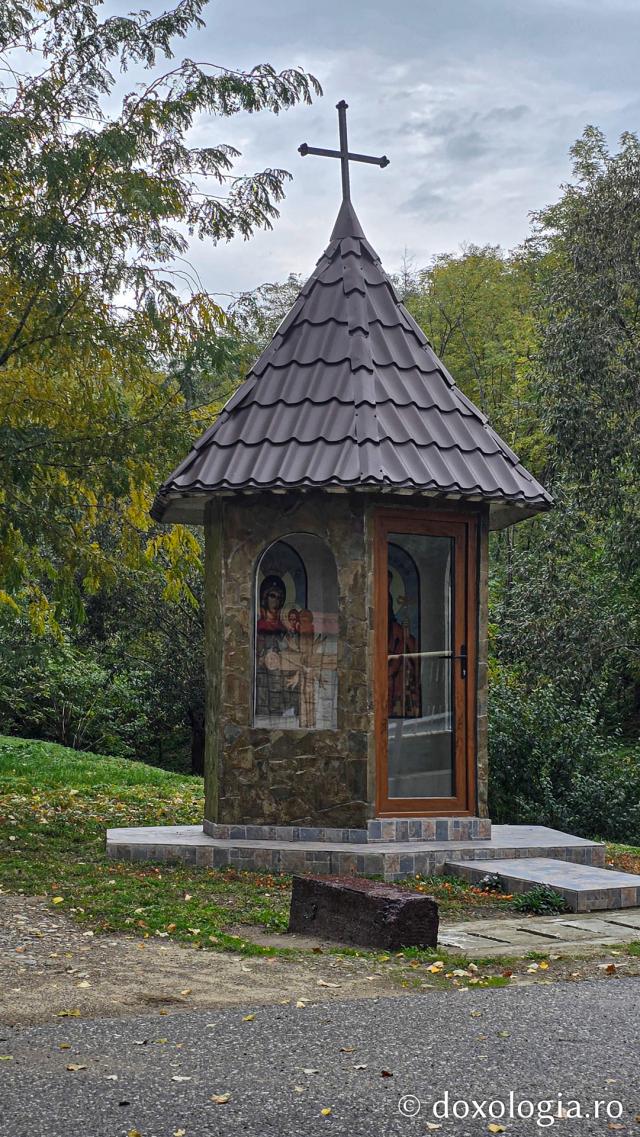 Mănăstirea Brazi – lăcaș de rugăciune și închinare la moaștele Sfântului Sfințit Mucenic Teodosie