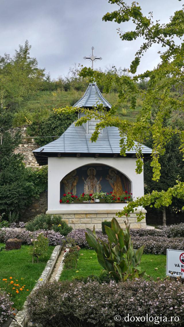 Mănăstirea Brazi – lăcaș de rugăciune și închinare la moaștele Sfântului Sfințit Mucenic Teodosie