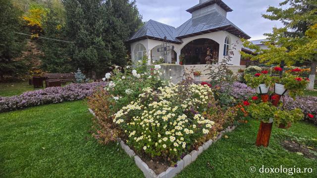 Mănăstirea Brazi – lăcaș de rugăciune și închinare la moaștele Sfântului Sfințit Mucenic Teodosie