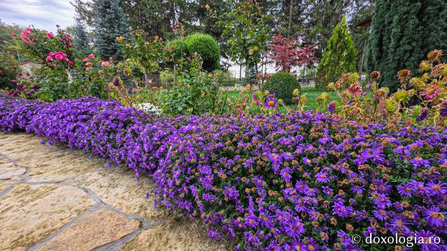 Mănăstirea Brazi – lăcaș de rugăciune și închinare la moaștele Sfântului Sfințit Mucenic Teodosie