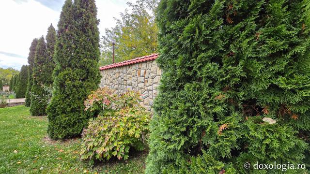 Mănăstirea Brazi – lăcaș de rugăciune și închinare la moaștele Sfântului Sfințit Mucenic Teodosie