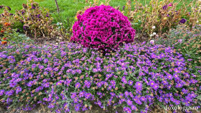 Mănăstirea Brazi – lăcaș de rugăciune și închinare la moaștele Sfântului Sfințit Mucenic Teodosie