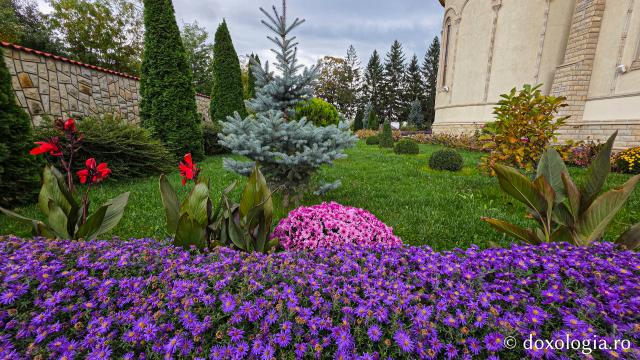 Mănăstirea Brazi – lăcaș de rugăciune și închinare la moaștele Sfântului Sfințit Mucenic Teodosie