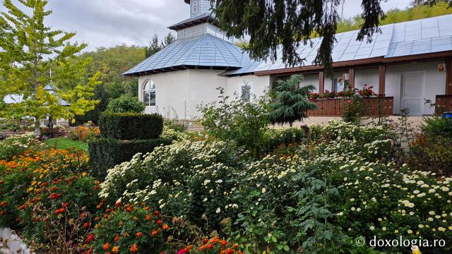 Mănăstirea Brazi – lăcaș de rugăciune și închinare la moaștele Sfântului Sfințit Mucenic Teodosie