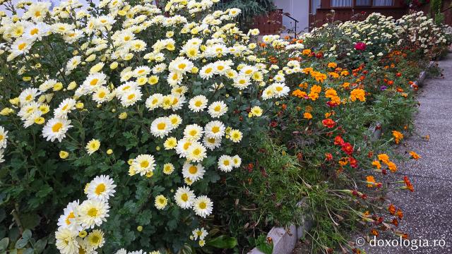 Mănăstirea Brazi – lăcaș de rugăciune și închinare la moaștele Sfântului Sfințit Mucenic Teodosie