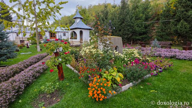 Mănăstirea Brazi – lăcaș de rugăciune și închinare la moaștele Sfântului Sfințit Mucenic Teodosie