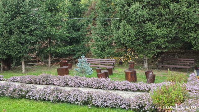 Mănăstirea Brazi – lăcaș de rugăciune și închinare la moaștele Sfântului Sfințit Mucenic Teodosie