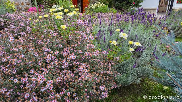 Mănăstirea Brazi – lăcaș de rugăciune și închinare la moaștele Sfântului Sfințit Mucenic Teodosie