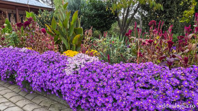 Mănăstirea Brazi – lăcaș de rugăciune și închinare la moaștele Sfântului Sfințit Mucenic Teodosie