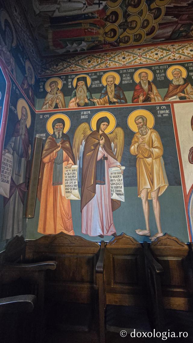 Mănăstirea Trotușanu