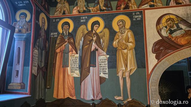 Mănăstirea Trotușanu