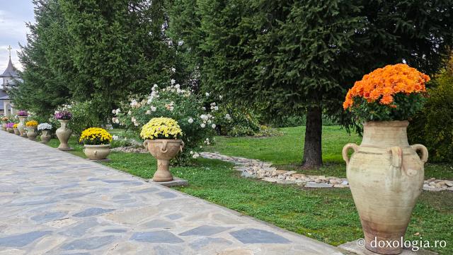 Mănăstirea Trotușanu