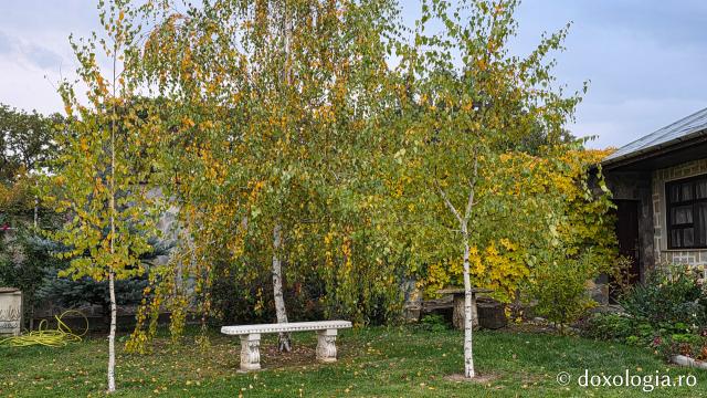 Mănăstirea Trotușanu