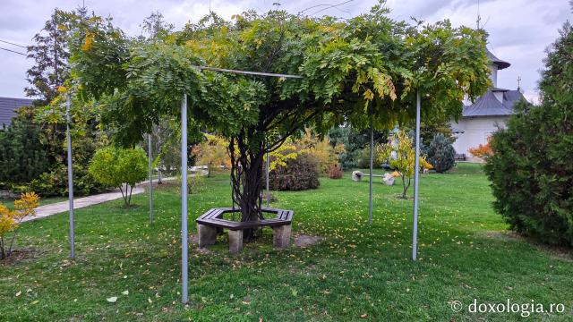 Mănăstirea Trotușanu