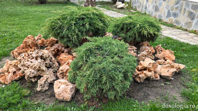 Mănăstirea Trotușanu