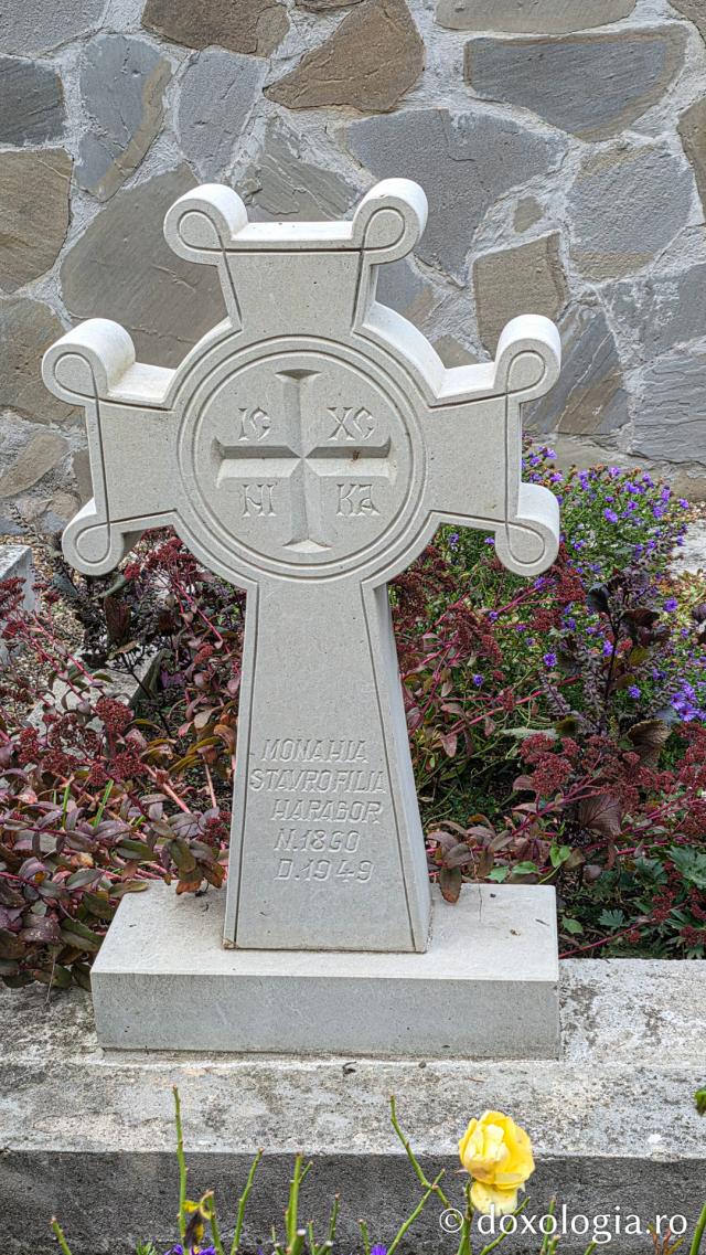 Mănăstirea Trotușanu